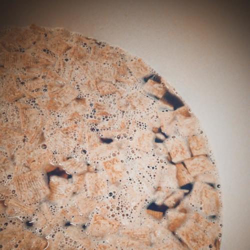 Cereals Pastry Ale, płatki owsiane gar - Rafał Polok, Browar Jastrzębie